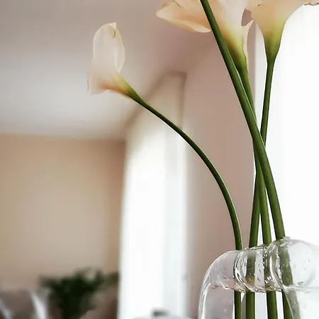 So Fine - Apulian Flats Apartamento