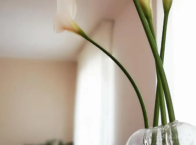 So Fine - Apulian Flats Apartment