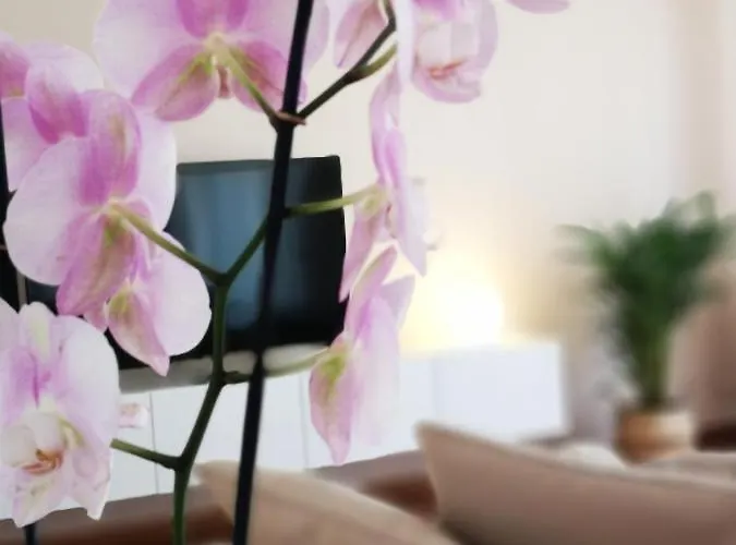 Apartament So Fine - Apulian Flats *