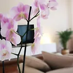 Apartman So Fine - Apulian Flats *