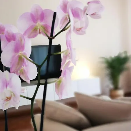 Appartement So Fine - Apulian Flats *
